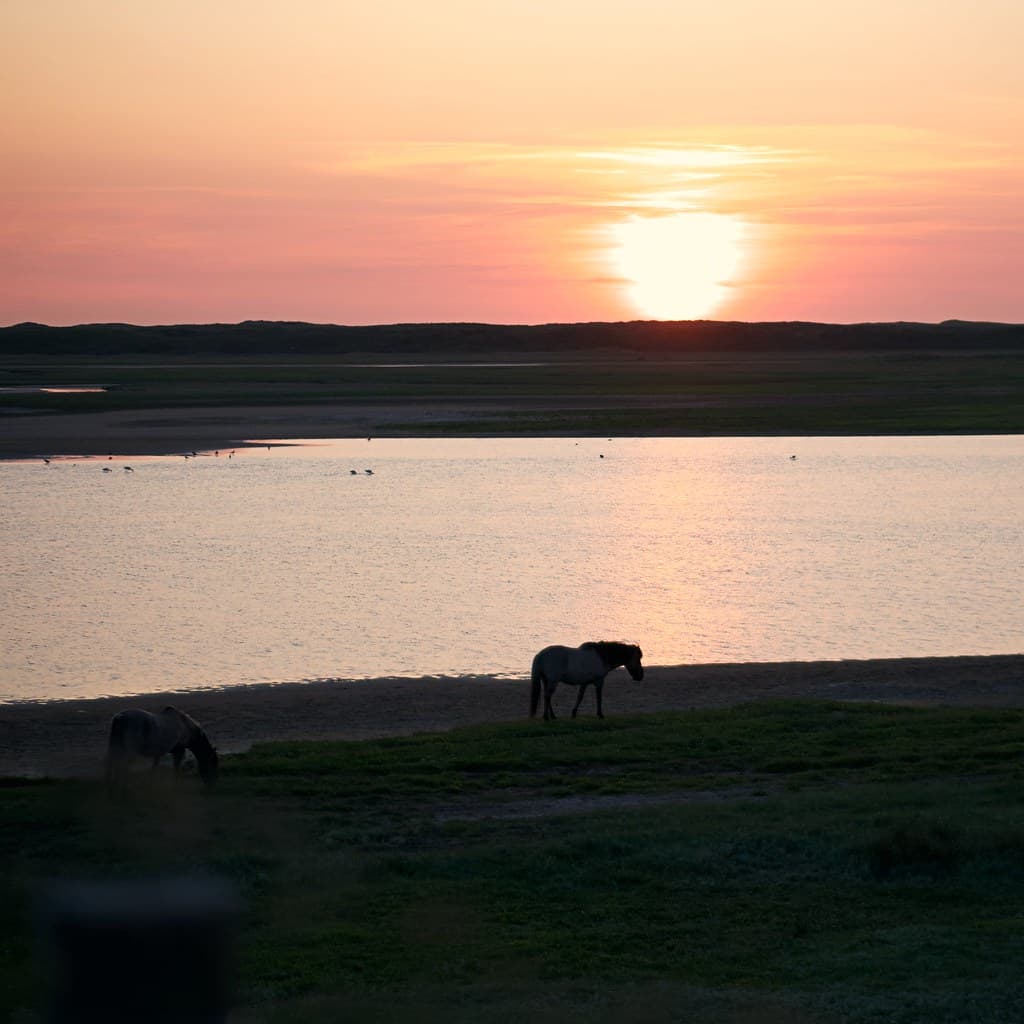 Texel, The Netherlands