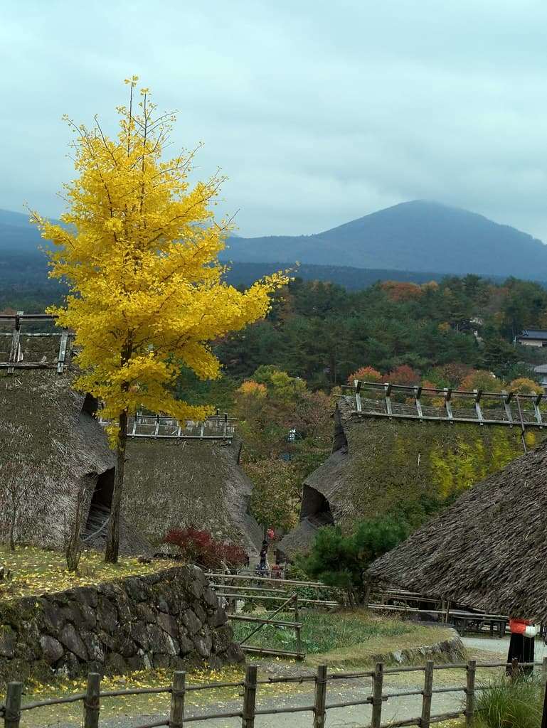 Nenba Village