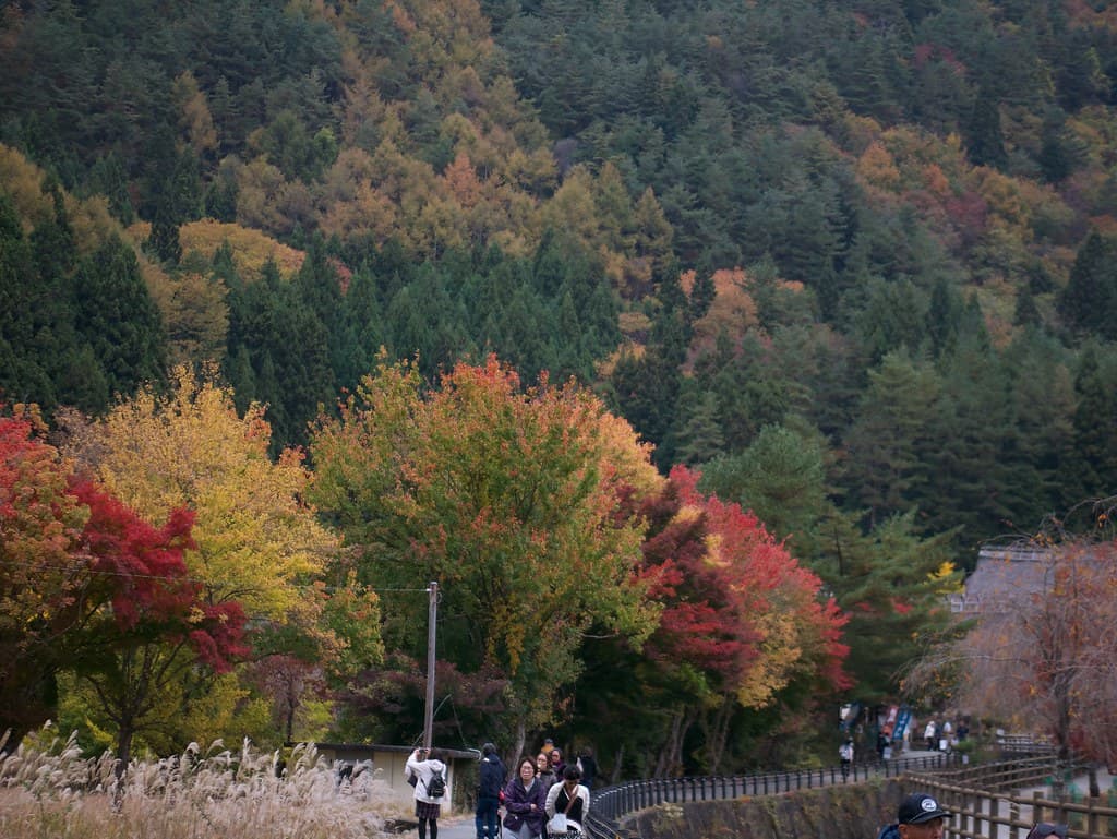 Nenba Village